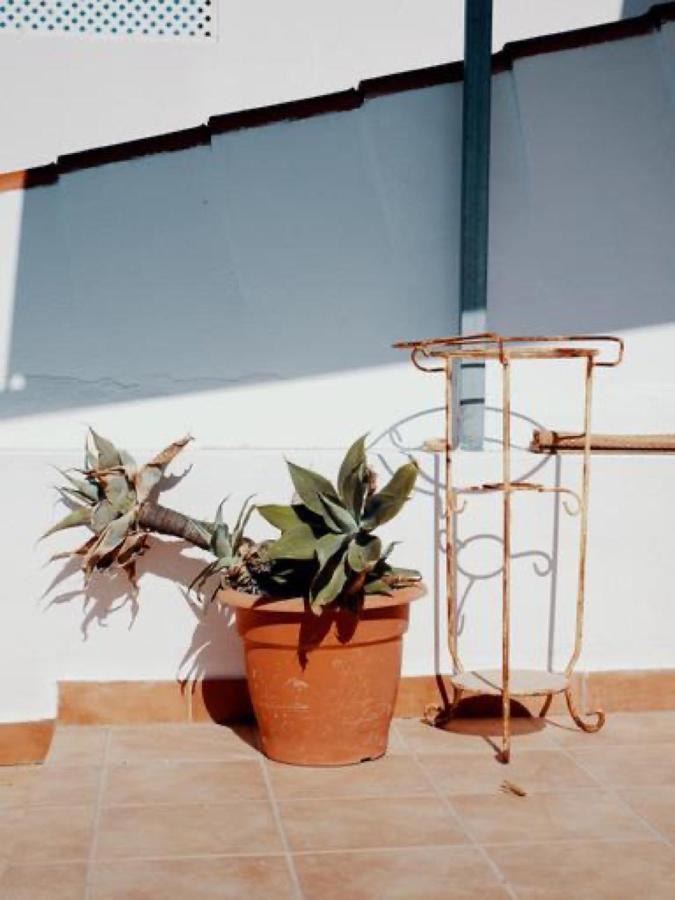 Casa Na Vila T1 Fuseta Buitenkant foto